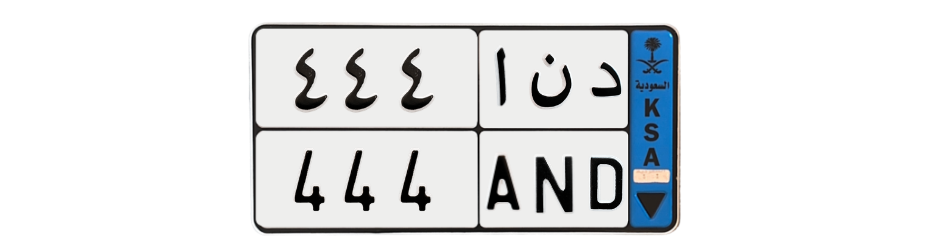 لوحة د ن ا 444